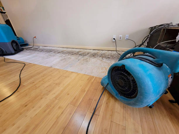 Professional Water Damage Repair technician working in Arizona, AZ